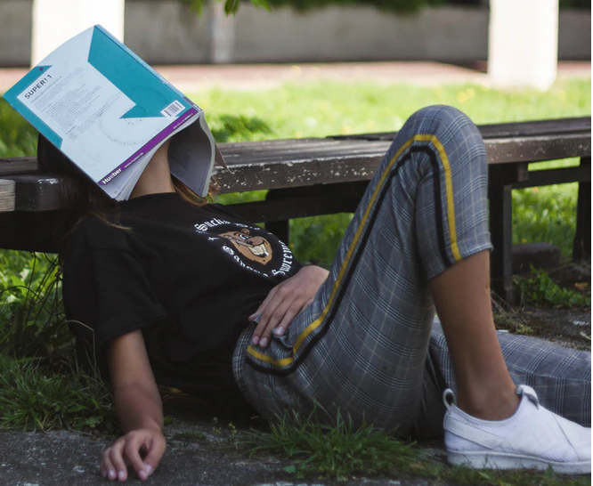 grade 12 courses